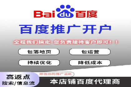 百度竞价代理的投放技巧与效果评估案例